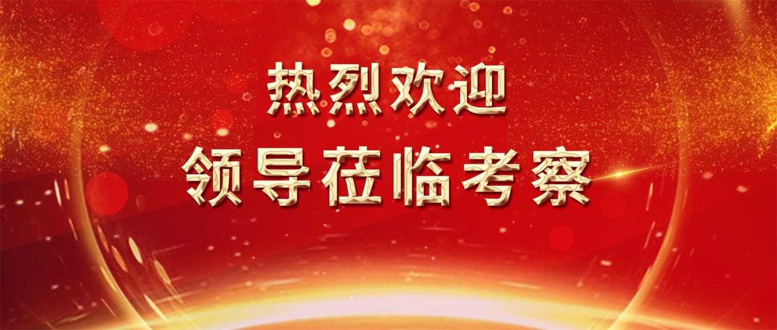 成都城投地产公司外墙仿石涂料及保温复合装饰一体板专项考察